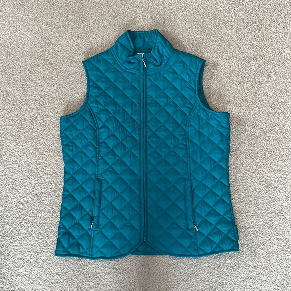 Blue Vest